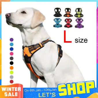 hi vis dog harness