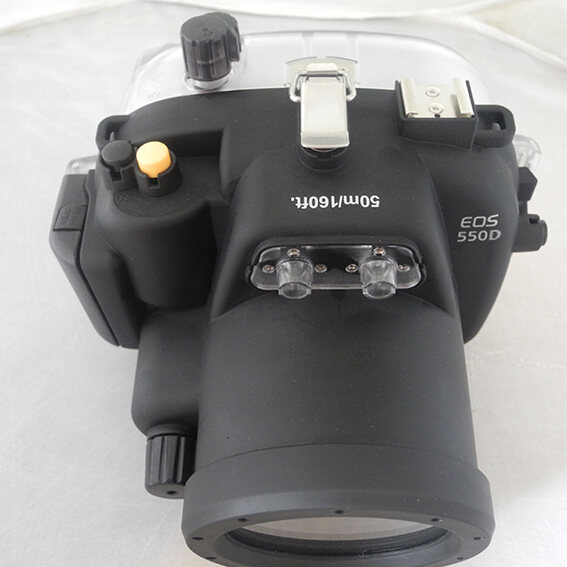 รวมกัน 98+ ภาพพื้นหลัง ถ่ายรูปใต้น้ำ คมชัด