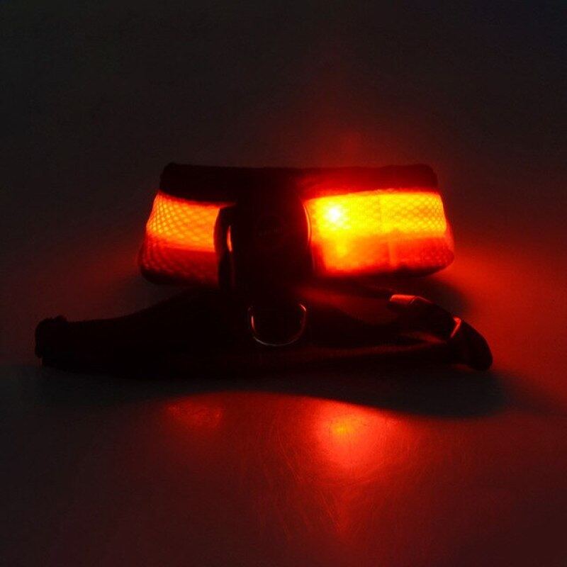 Pet LED Shining Khai Thác Dây Cầm Tay Vòng Cổ Cho Chó Chó Đai Cổ Phát Sáng Đèn Ban Đêm Flash Vòng Cổ