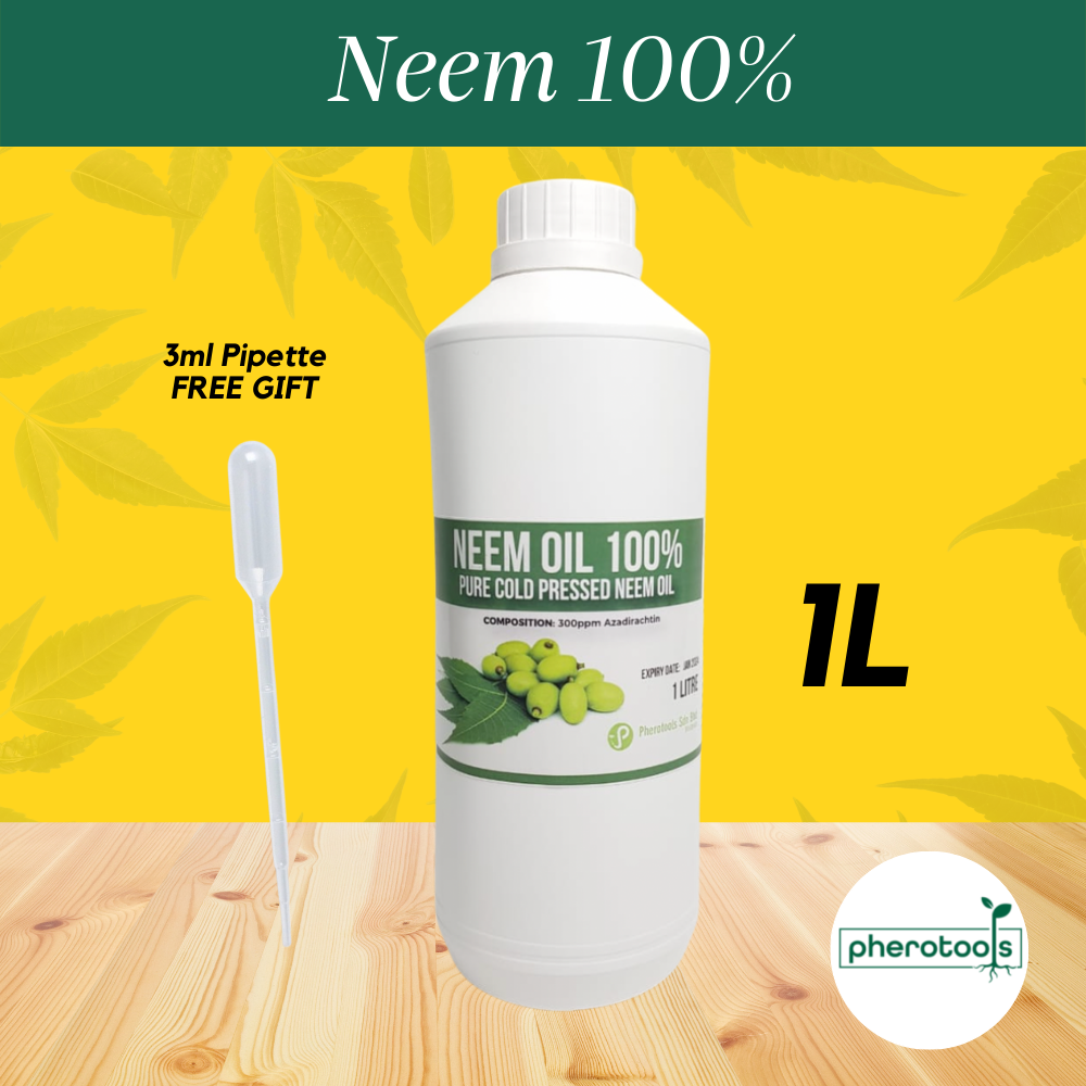 Pherotools NEEM OIL 100 (250ml / 1L) (Pure Cold Pressed Neem Oil
