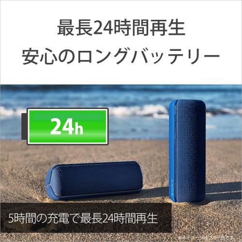 Sony SONY Wireless Portable Speaker SRS 