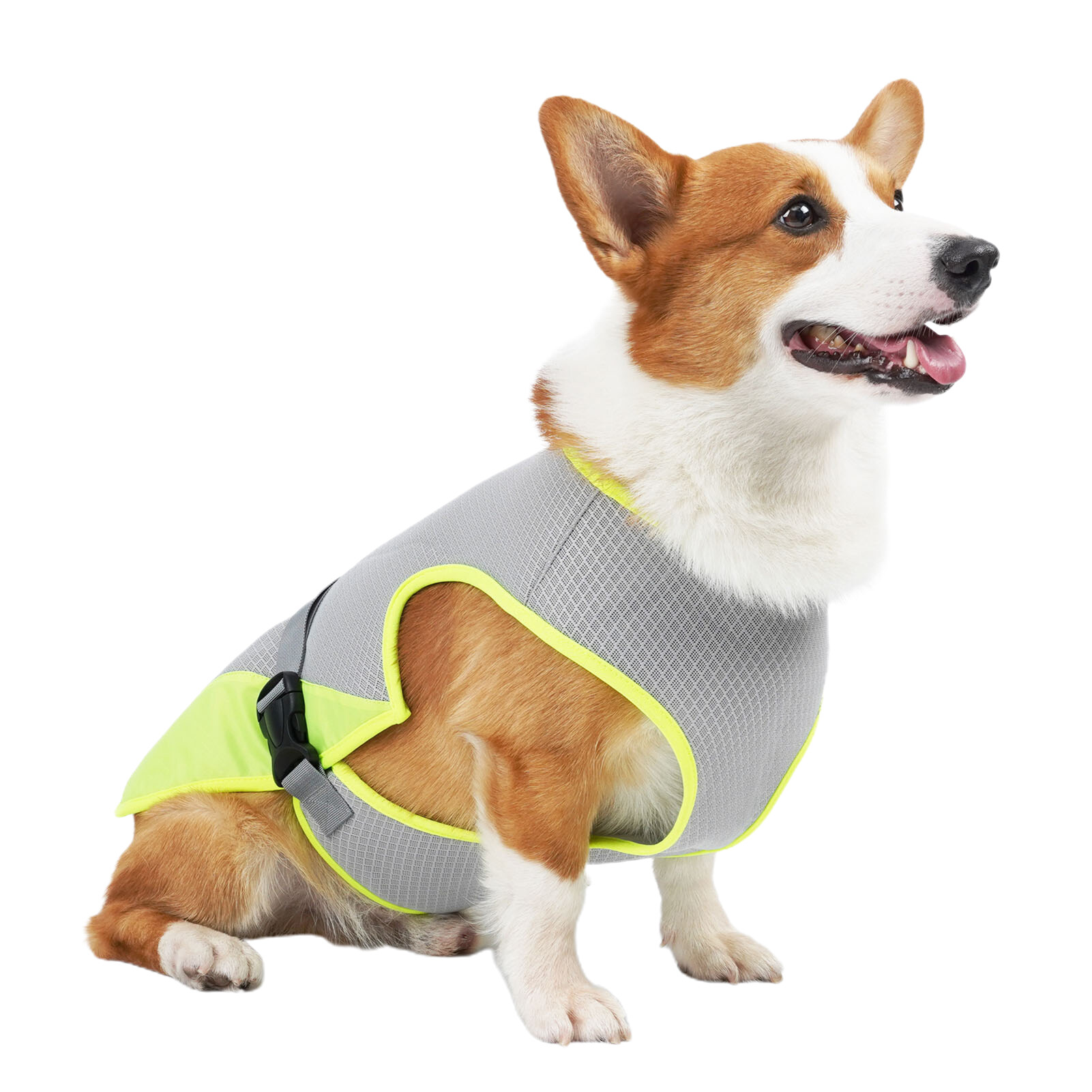 Sgoda dog 2024 cooling vest