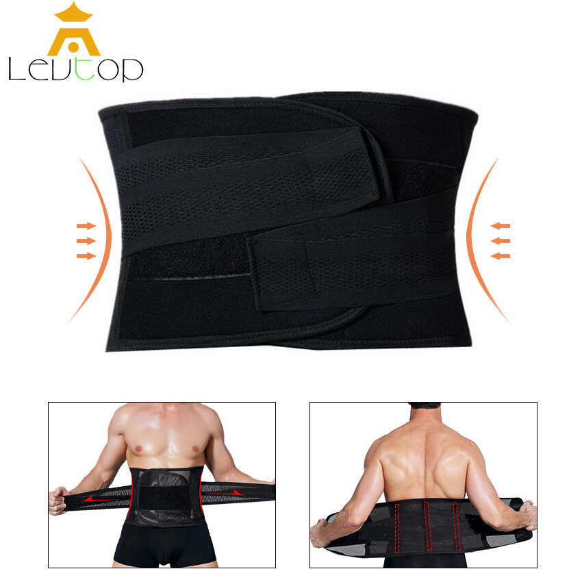 safety belt back support