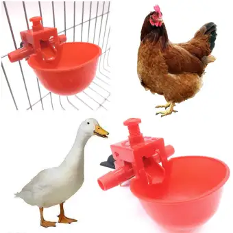 5 Pcs Farm Animal Poultry Red Duck Cage Feed Drinker Bowl Chicken