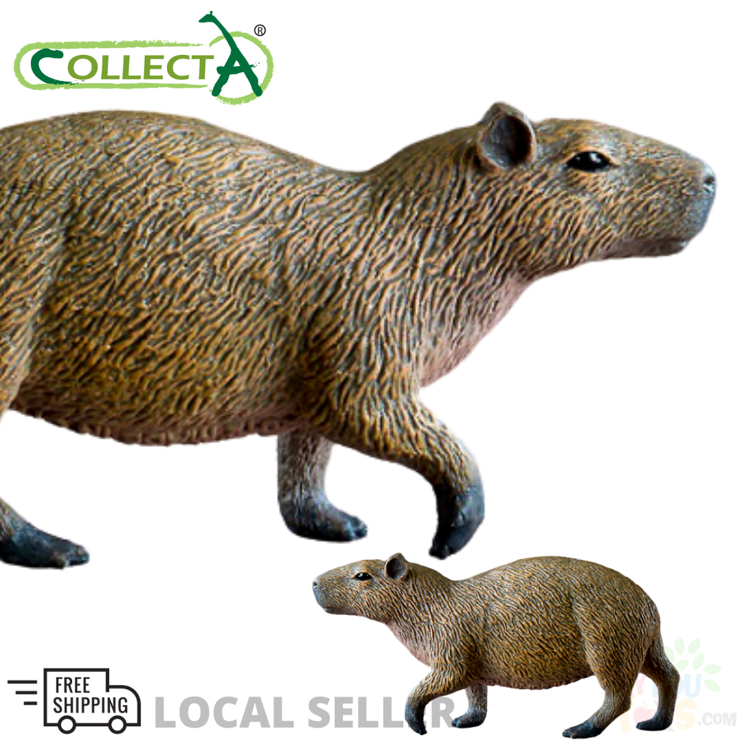 CollectA Capybara
