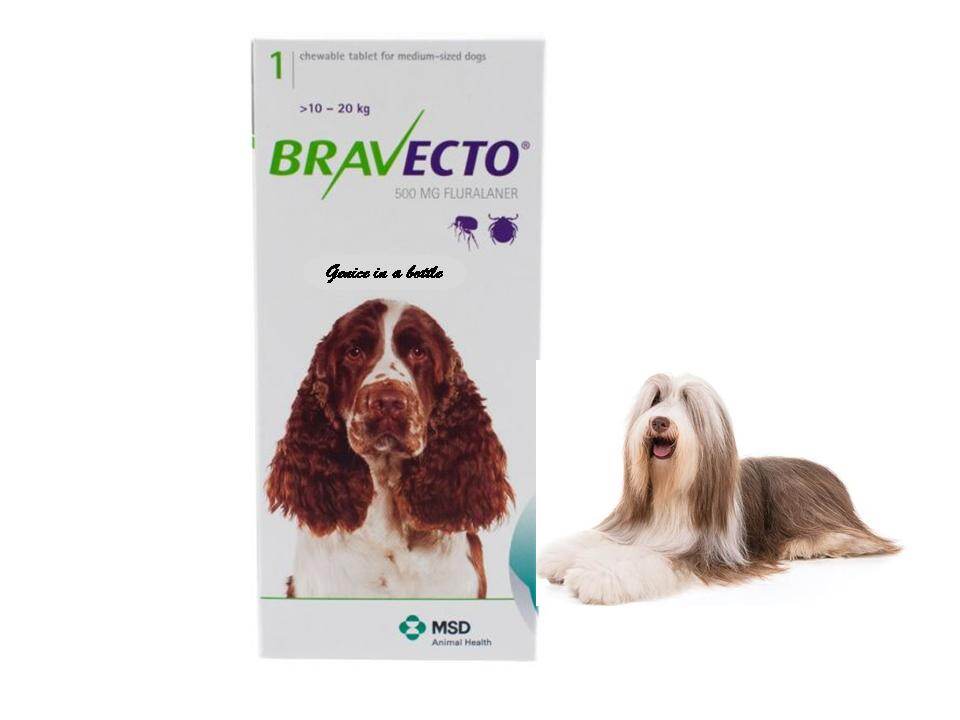 bravecto cost at amazon