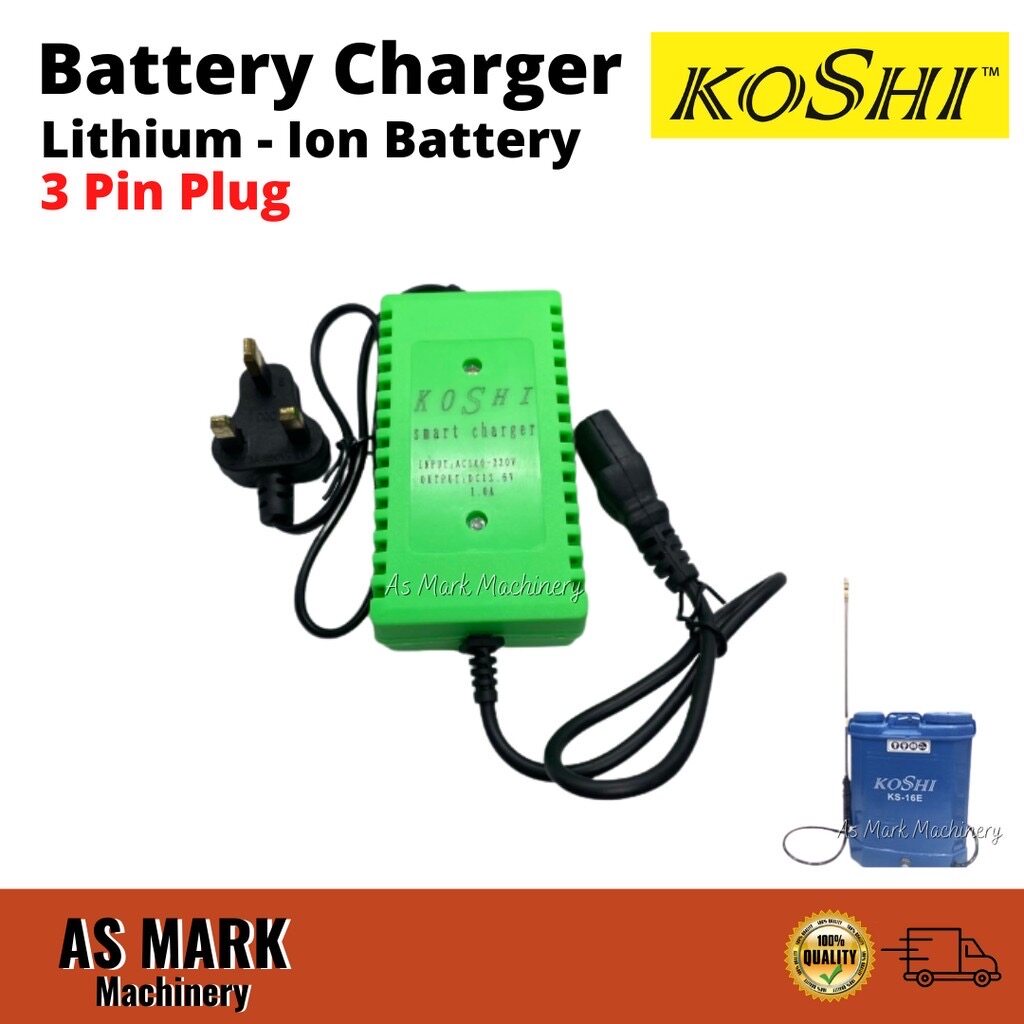12V 10Ah Battery Charger For Lithium Ion Battery Pump Knapsack Sprayer