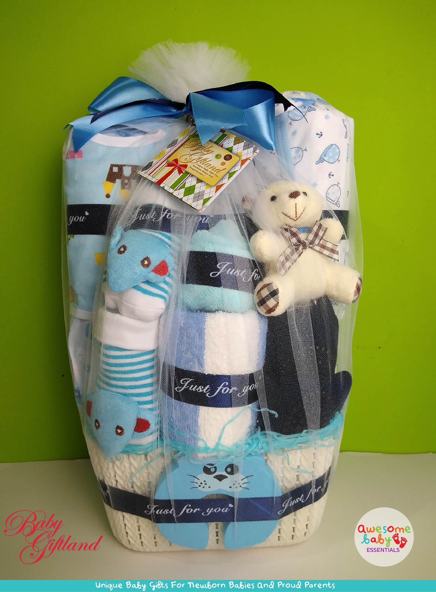 Newborn Baby Boy Giftset Hamper Hadiah Set Bayi Lelaki 0079 Bb 0040 B Lazada