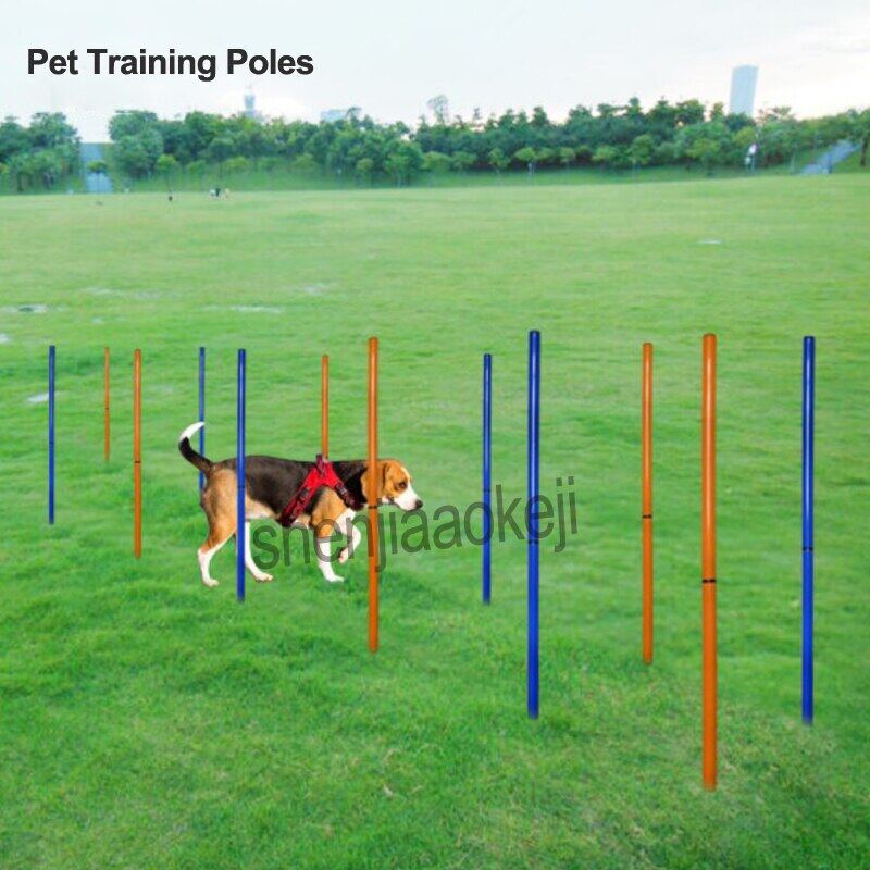 Portable Pet Training Poles Outdoor Dog Sports Equipment Dogs Activity