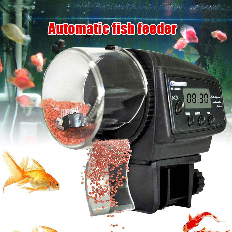 Qearl Shop Fish Food Feeder Aquarium Tank Flake Plastics Double Stick Space Saving Malaysia