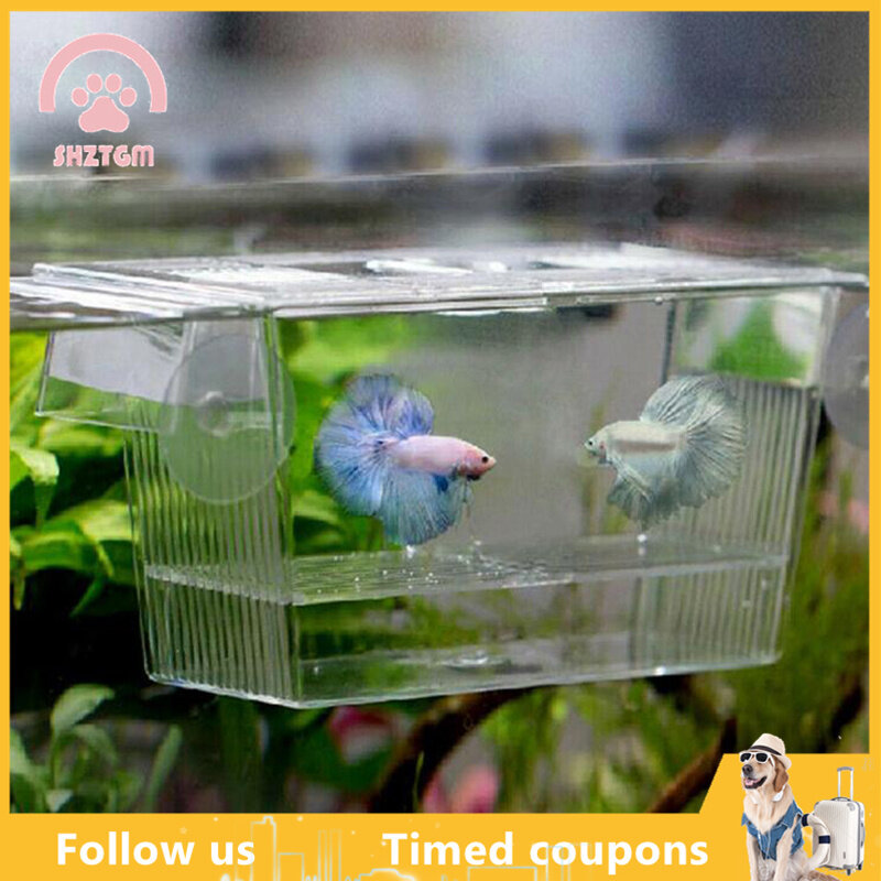 guppy tank for sale