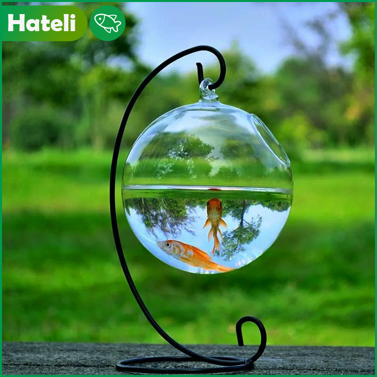 【HATELI】（12cm）Aquarium Tanks Hanging Glass Vase Fish Tank Transparent Spherical Glass Handmade Fish Tank Home Decoration Ornaments