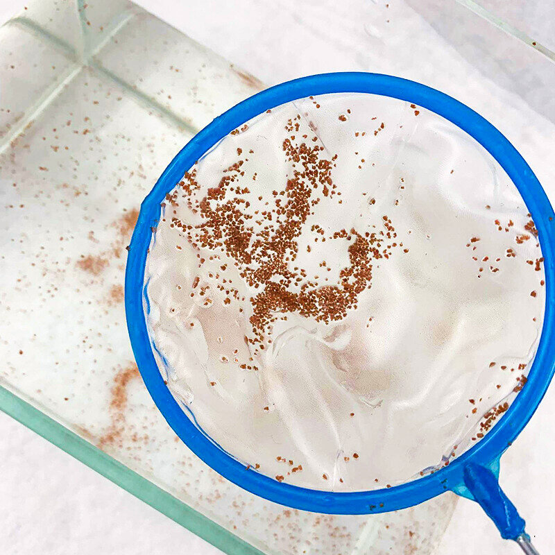 HATELI Phụ Kiện Bể Cá Lưới Cá Nhỏ Lưới Đánh Cá Lưới Đánh Cá Trẻ Em Lưới Đánh Cá Bể Cá