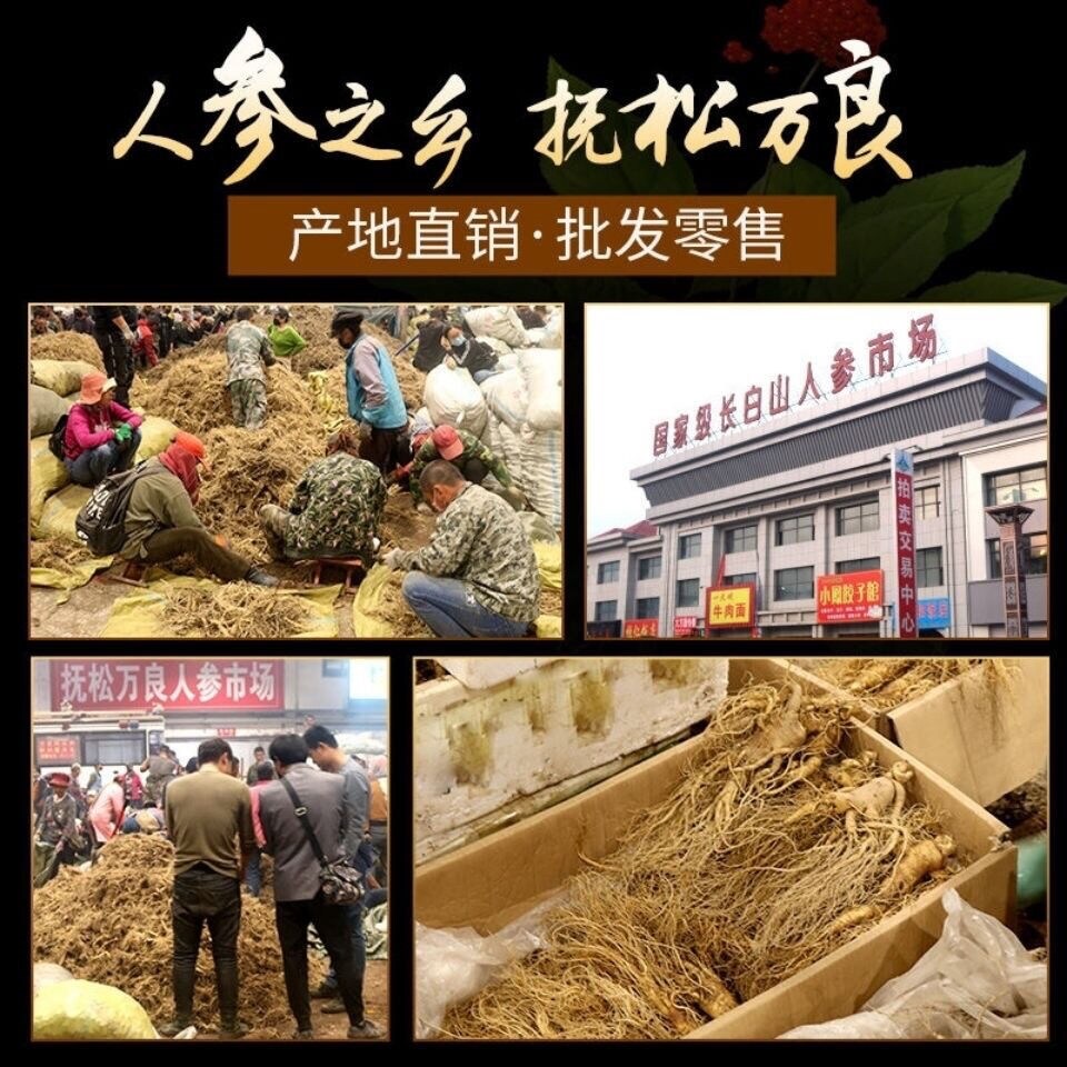[Authentic Ginseng] Changbai Mountain Authentic Wild Forest Ginseng Ginseng Ginseng Ginseng Root Bulk Free Powder