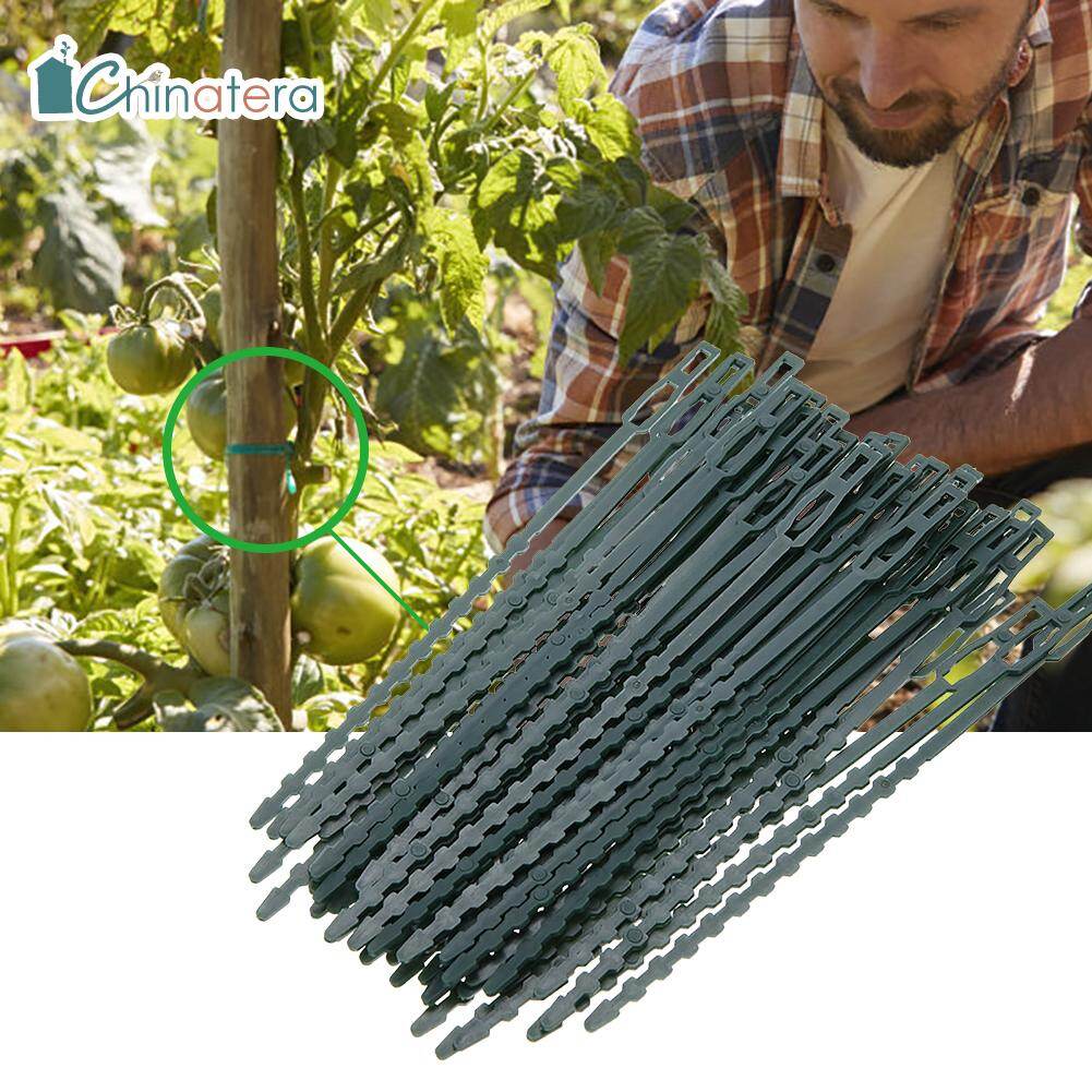 [Chinatera] 50pcs Greenhouse Garden Cable Ties Reusable Plastic Plant Tree Climbing Support Fastener Fishbone Zip Ties