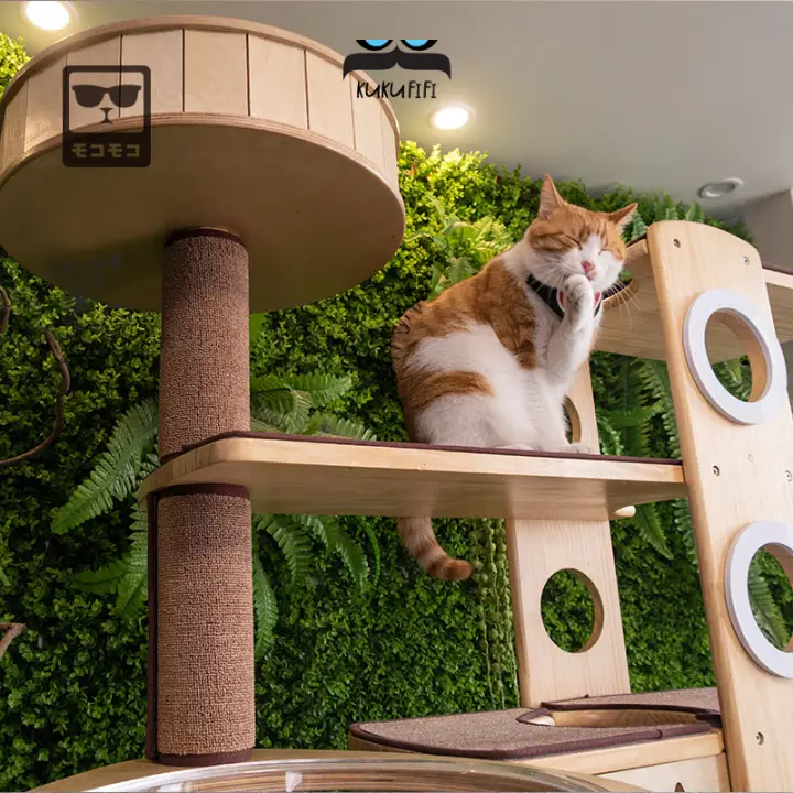natural sphere cat tower