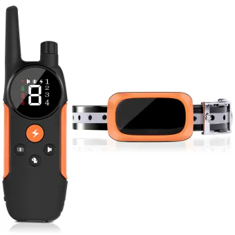 dog training e collar