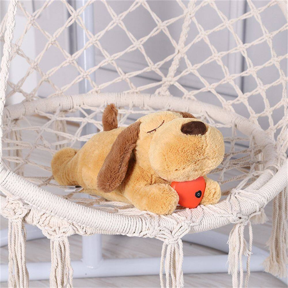 sleeping dog in basket toy