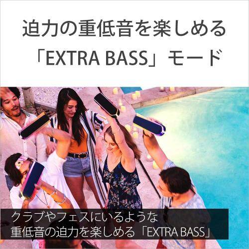 Sony Wireless Portable Speaker SRS-XB32 