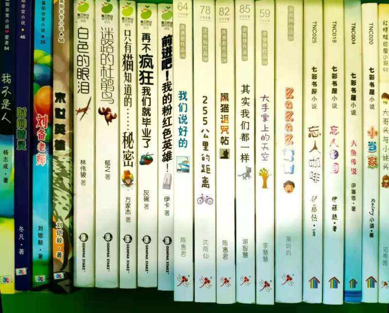 怀旧二手小说 ; 9成新小说 ;Chinese Second Hand Novel 『嘉阳非常;魔豆;红蜻蜓;七彩书屋』 Malaysia