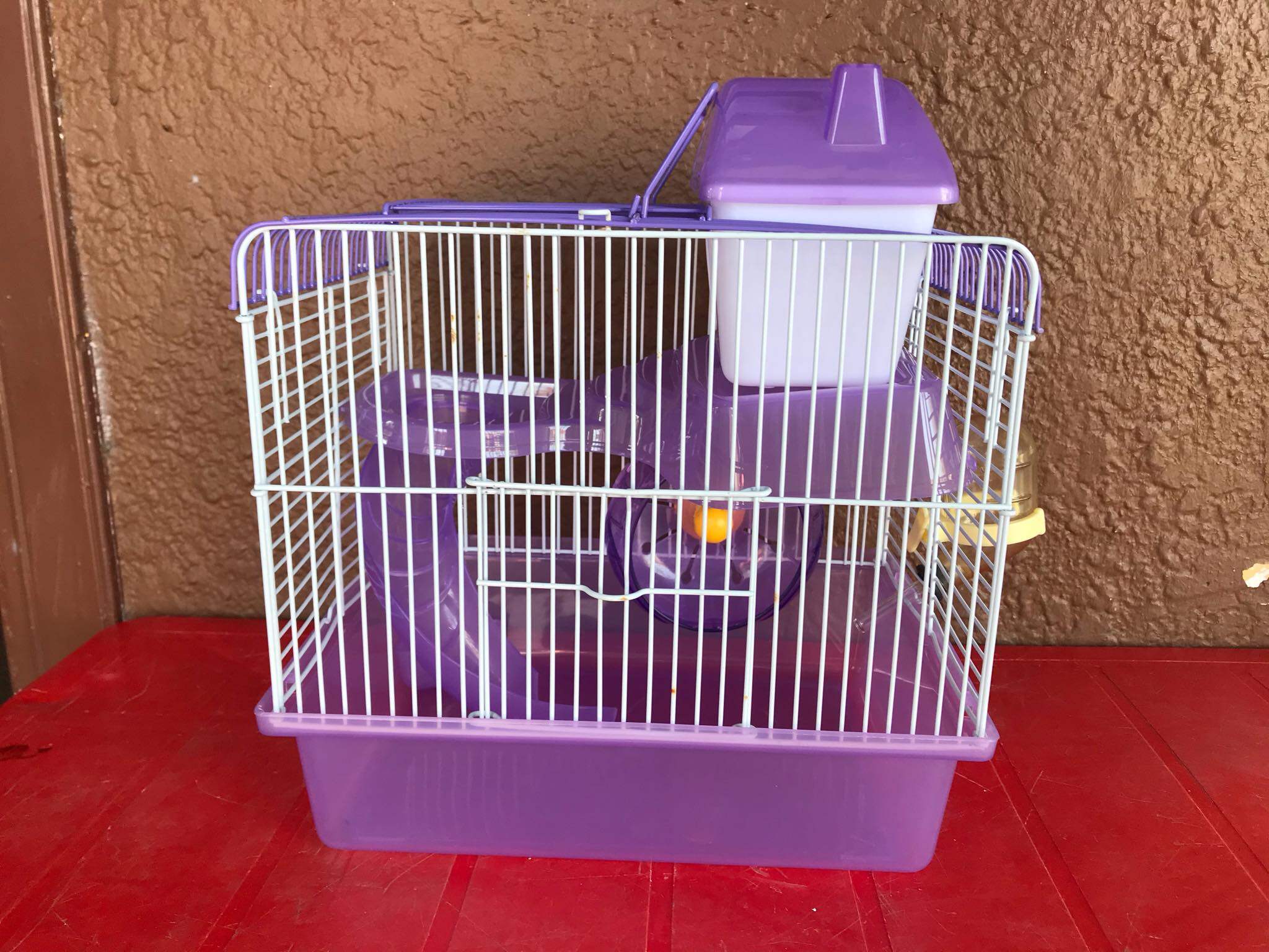 diy sangkar hamster