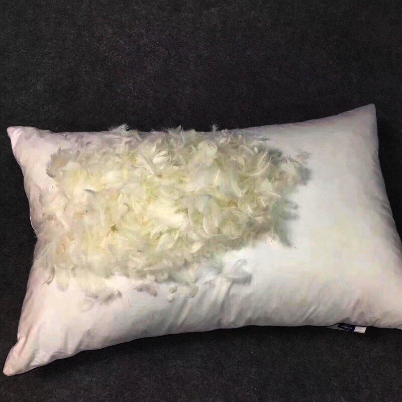 white down pillow