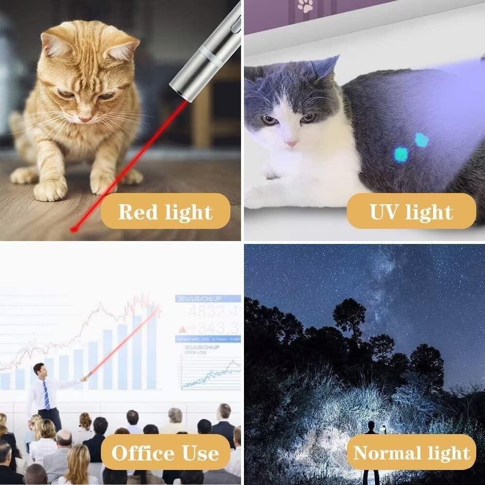 Con Mèo Laser Pointer Đồ Chơi Cho Trong Nhà Sạc USB 5 Mẫu Có Thể Chuyển Đổi