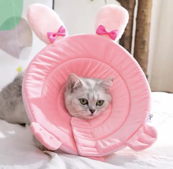 rabbit elizabethan collar