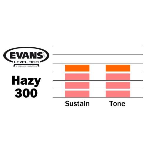 EVANS Evans Drumhead Snare Side 300 S10H30 / Snare Side 300 (3mil) 10