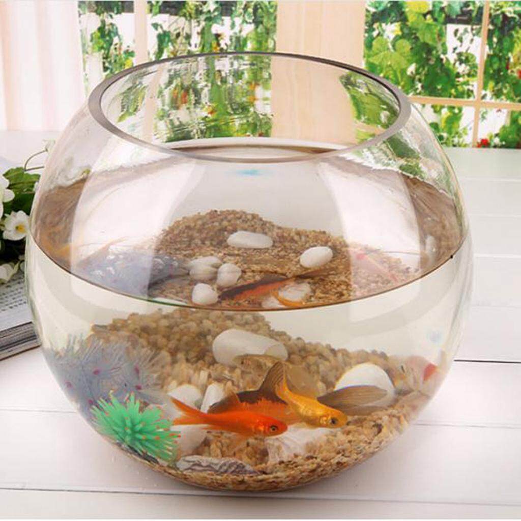 bubble tank fish bowl