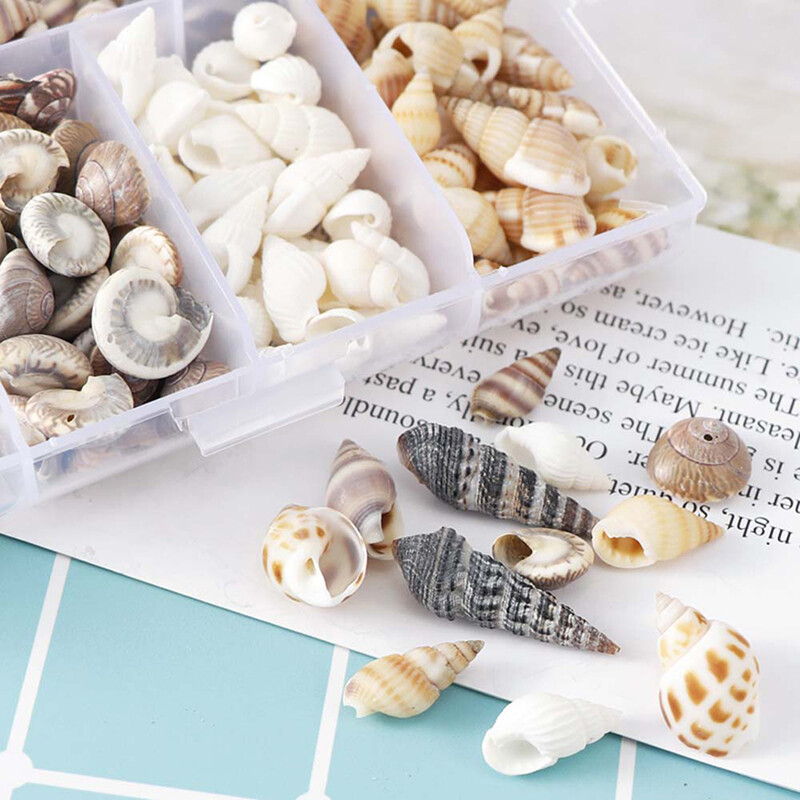 QIA About 100Pcs/Box Natural Conch Shells Aquarium Landscape Seashells Crafts Decor