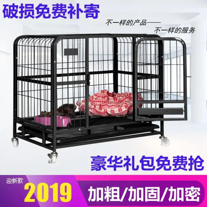 dog cage buy