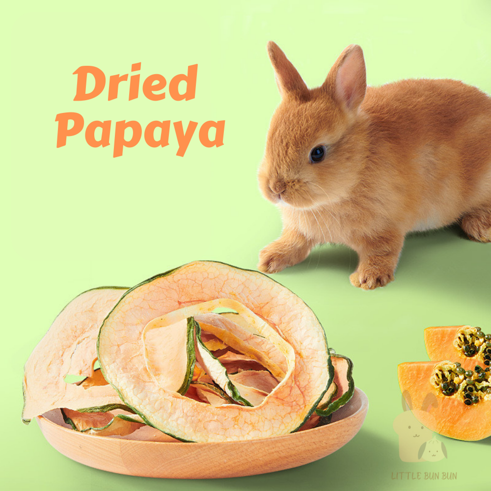 Papaya hotsell for rabbits