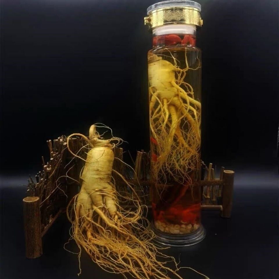 [35-year-old ginseng] Extra large Jilin ginseng Changbai Mountain wild ginseng gift soaking alcohol