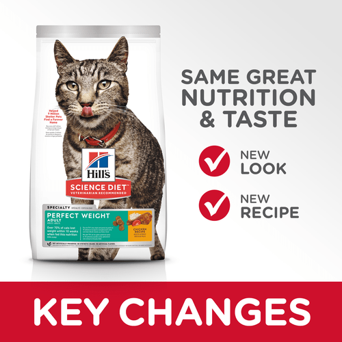 hills cat perfect weight