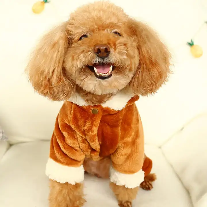 Lisayoshop Kostum Anjing Baru Beruang Hewan Peliharaan Berkaki