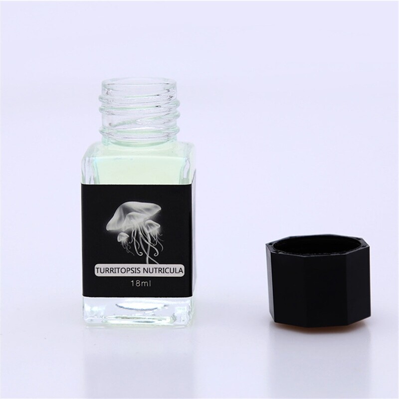18ml Non-Carbon Magic Invisible Ink For Fountain Glass Dip Pen Creative Fluorescent Ink UV Light Gift Stationery
