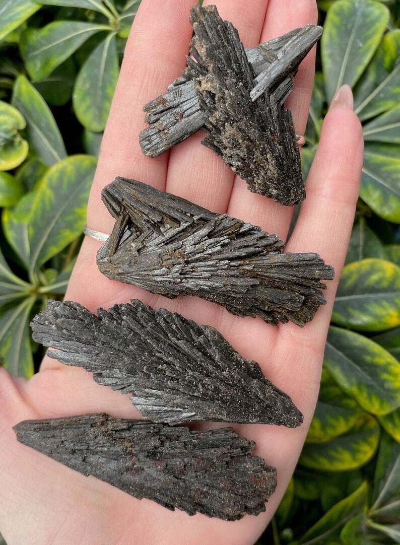 Black Kyanite Fan, Rough Black Kyanite Fan, Natural Stone, Raw Black Kyanite Specimen, Witches Broom, One Black Kyanite