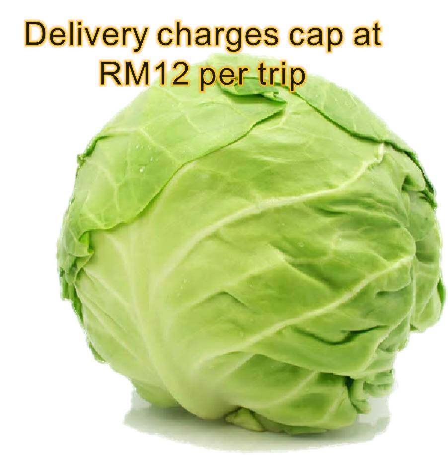 VEGETABLES Cabbage / kubis 500g Lazada