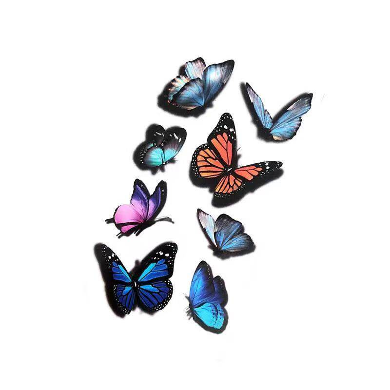 My Image 48