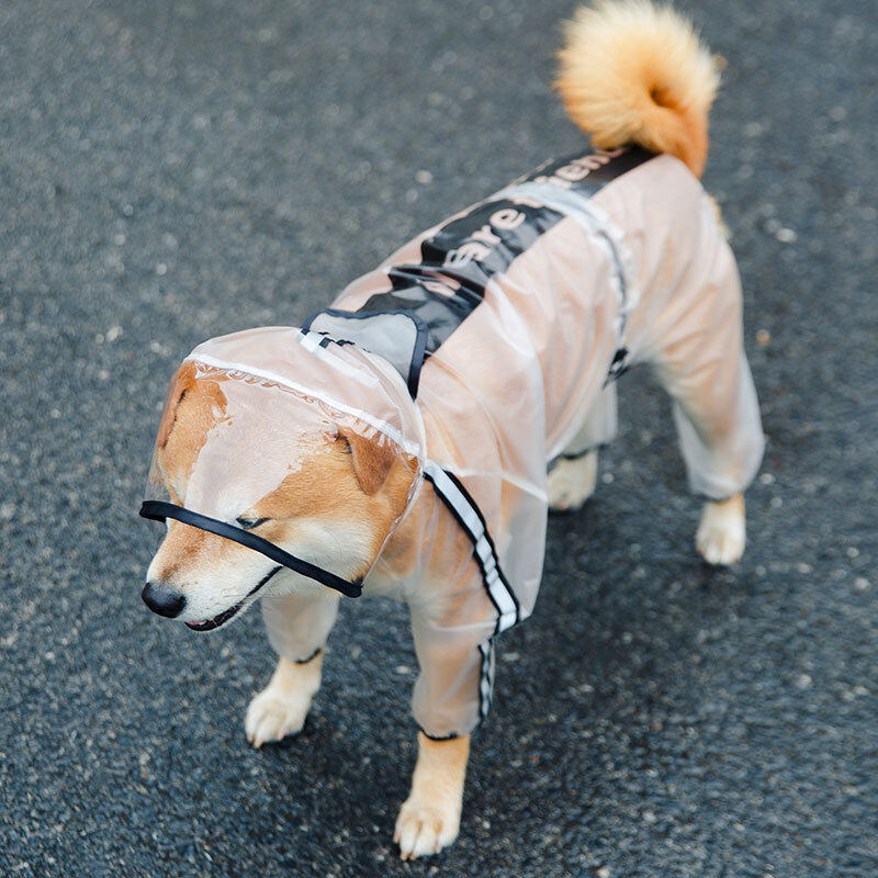 labrador jacket
