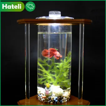aquarium mini lazada