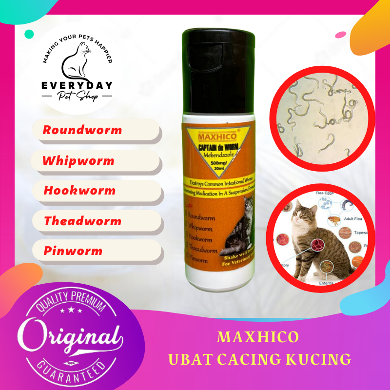 Beli ubat cacing kucing worm Pada Harga Terendah  Lazada.com.my