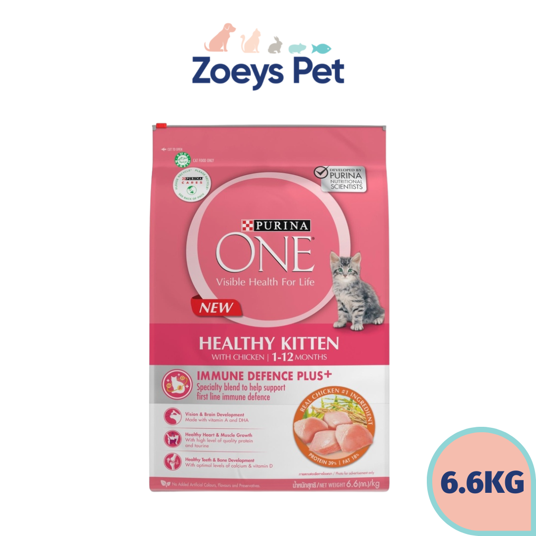 Purina One 6.6kg Dry Cat Food (Healthy Kitten /Adult Salmon and Tuna ...