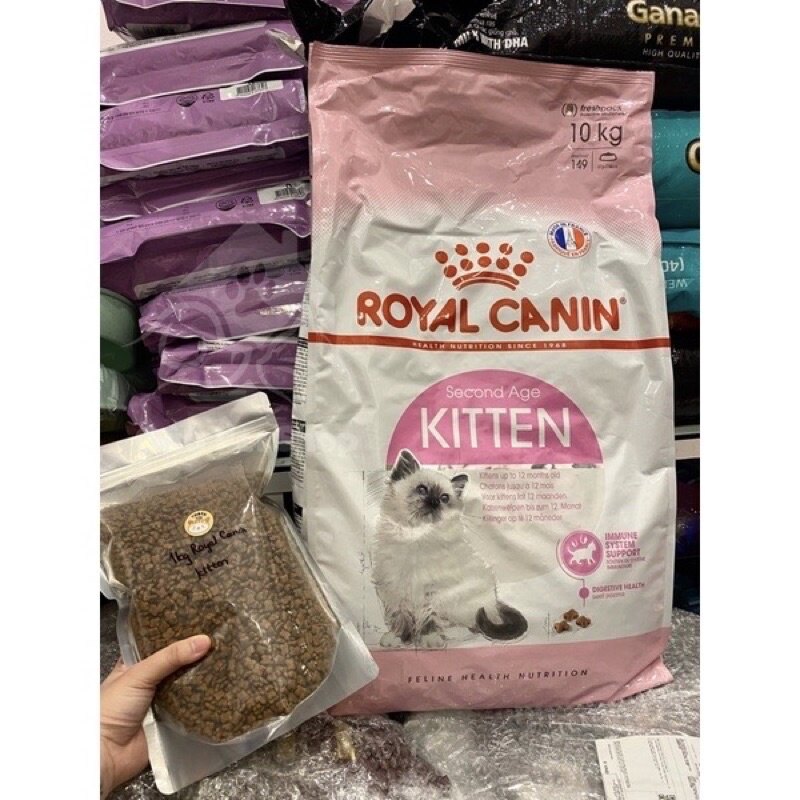 Royal Canin Kitten 36 ( mèo con 4-12 tháng )