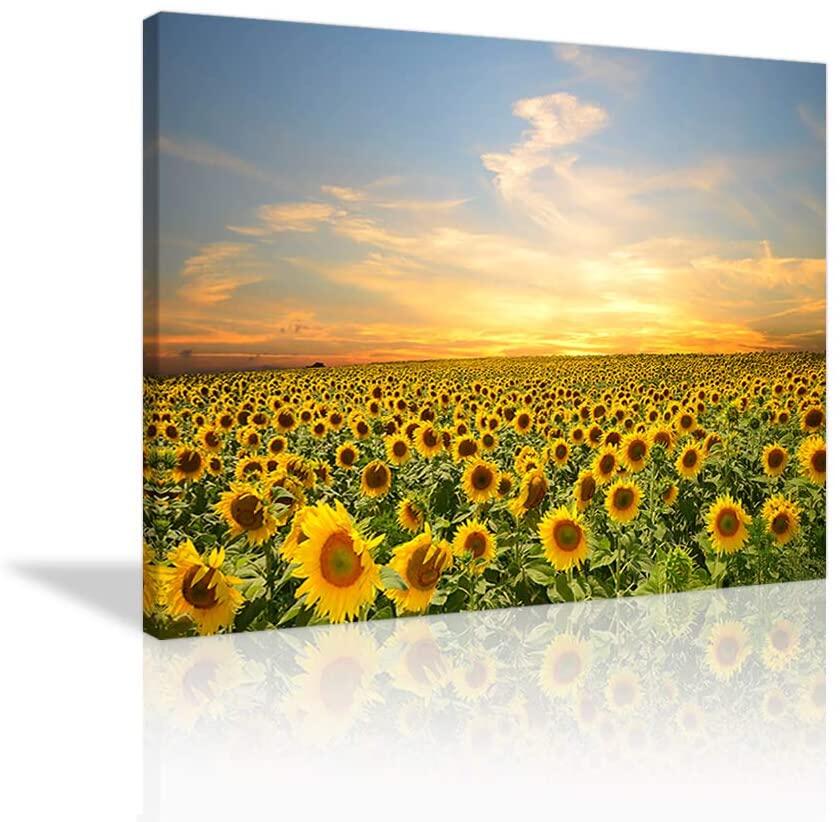 Large Sunflower Canves Wall Art Natural Scenery Art Golden Sunrise Sunflower Poster Artwork Sea of Sunflower Picture Print Art Sunflower Wall Decor