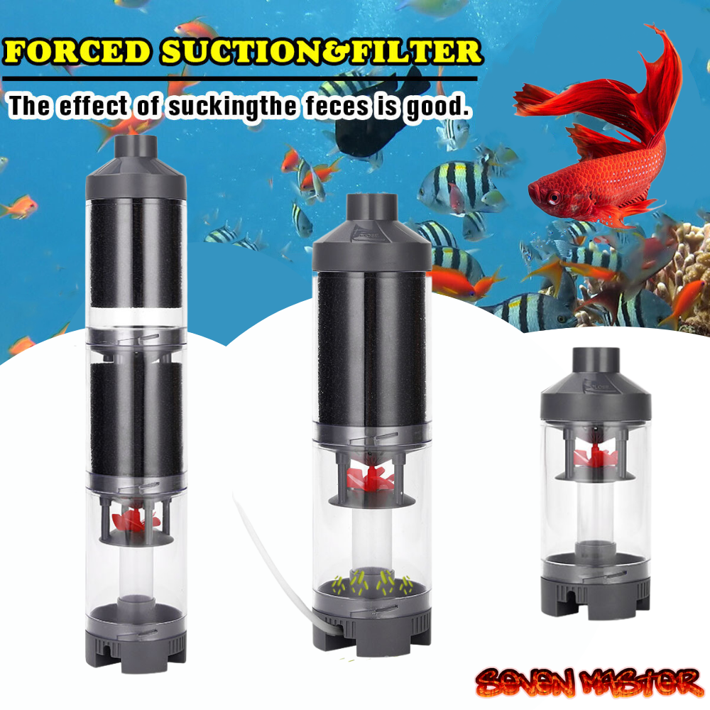 Bảy Master trong suốt phân cá Collector bể cá hồ cá làm sạch bộ lọc