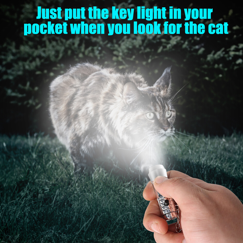 Mini Led Keychain Flashlight Portable Waterproof Camping Torch Light Pet Urine Detector Ultraviolet Lights