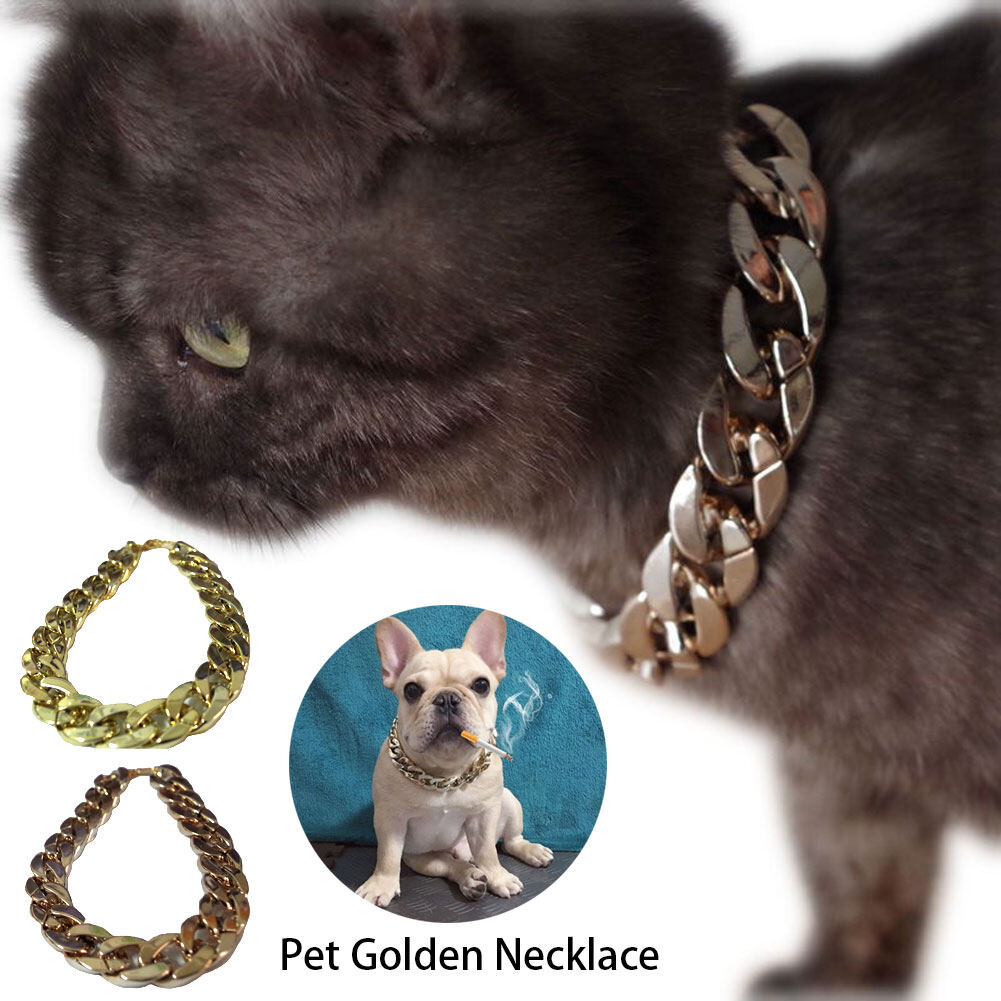 Plastic Material Small Dog Chain Teddy French Bulldog Necklace Golden Pet Accessories Dogs Collar