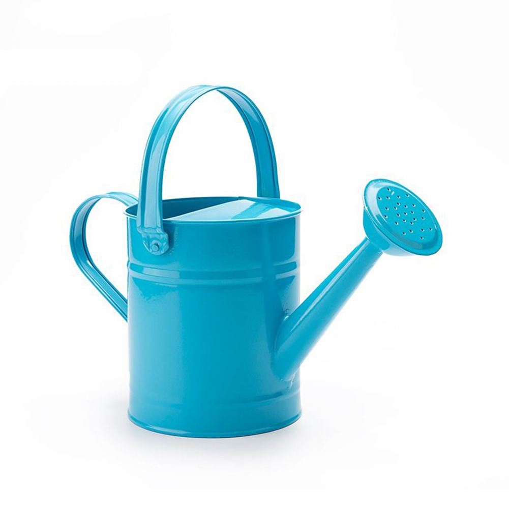 Yp Susiemiria My 1pcs 1 5l 29x23 5cm Iron Watering Can Home Flower Plant Shower Tool Gardening Water Pot Sprinkled Pot Garden Irrigation Spray Bottle Photo Props Lazada Singapore